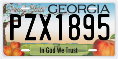 GA license plate PZX1895