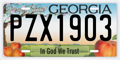 GA license plate PZX1903