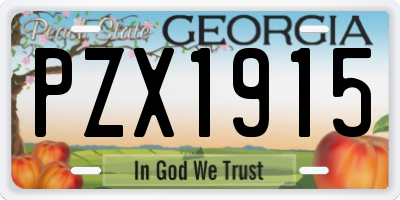 GA license plate PZX1915