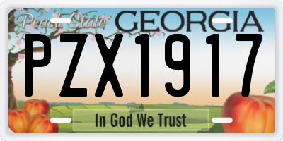 GA license plate PZX1917
