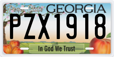GA license plate PZX1918