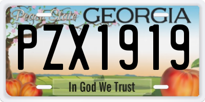 GA license plate PZX1919