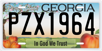 GA license plate PZX1964