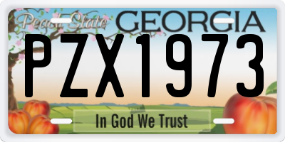GA license plate PZX1973