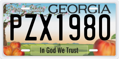 GA license plate PZX1980