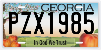 GA license plate PZX1985