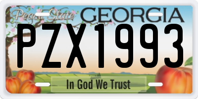 GA license plate PZX1993