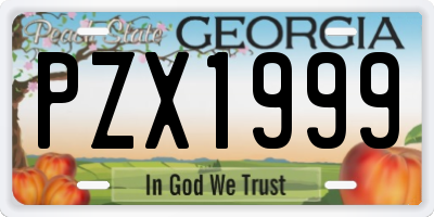 GA license plate PZX1999