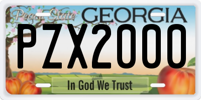 GA license plate PZX2000