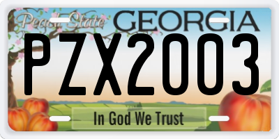 GA license plate PZX2003