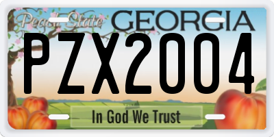 GA license plate PZX2004
