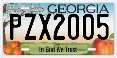 GA license plate PZX2005