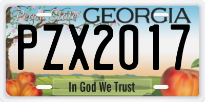 GA license plate PZX2017