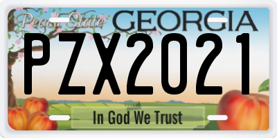 GA license plate PZX2021