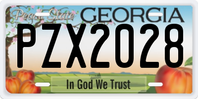 GA license plate PZX2028