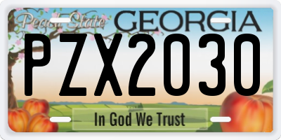 GA license plate PZX2030
