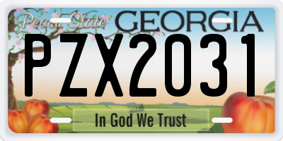 GA license plate PZX2031