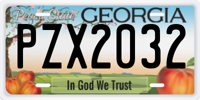 GA license plate PZX2032