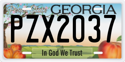 GA license plate PZX2037