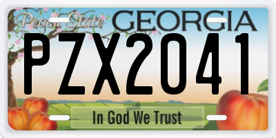 GA license plate PZX2041