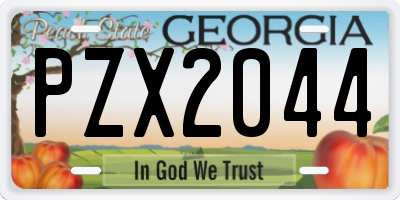 GA license plate PZX2044
