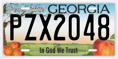 GA license plate PZX2048