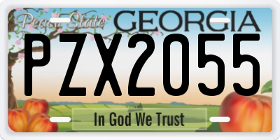 GA license plate PZX2055