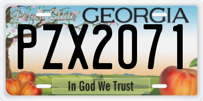 GA license plate PZX2071