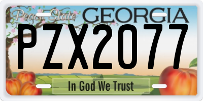 GA license plate PZX2077