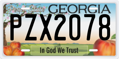 GA license plate PZX2078
