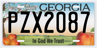GA license plate PZX2087