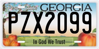 GA license plate PZX2099