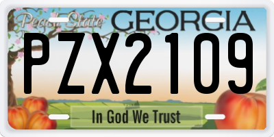 GA license plate PZX2109