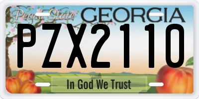 GA license plate PZX2110