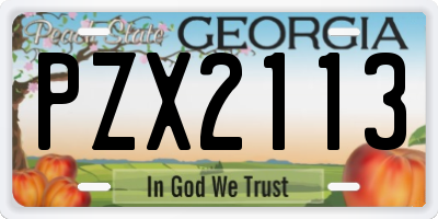 GA license plate PZX2113