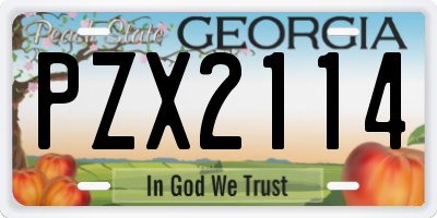 GA license plate PZX2114