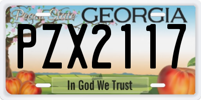 GA license plate PZX2117