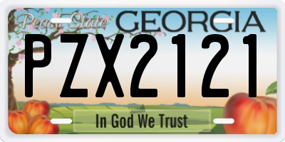GA license plate PZX2121