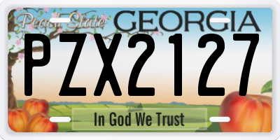 GA license plate PZX2127