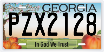 GA license plate PZX2128