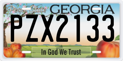 GA license plate PZX2133