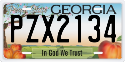 GA license plate PZX2134
