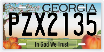 GA license plate PZX2135
