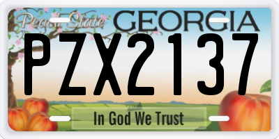 GA license plate PZX2137