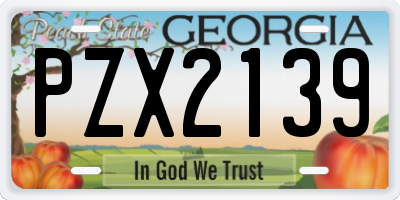 GA license plate PZX2139