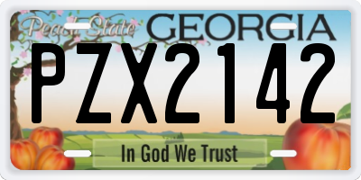 GA license plate PZX2142