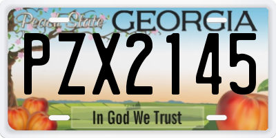 GA license plate PZX2145