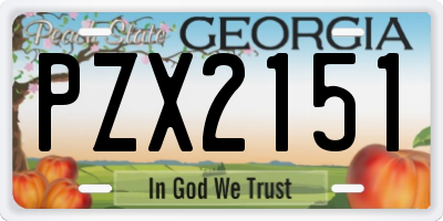 GA license plate PZX2151