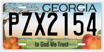 GA license plate PZX2154