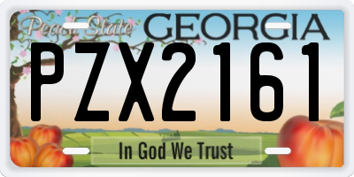 GA license plate PZX2161